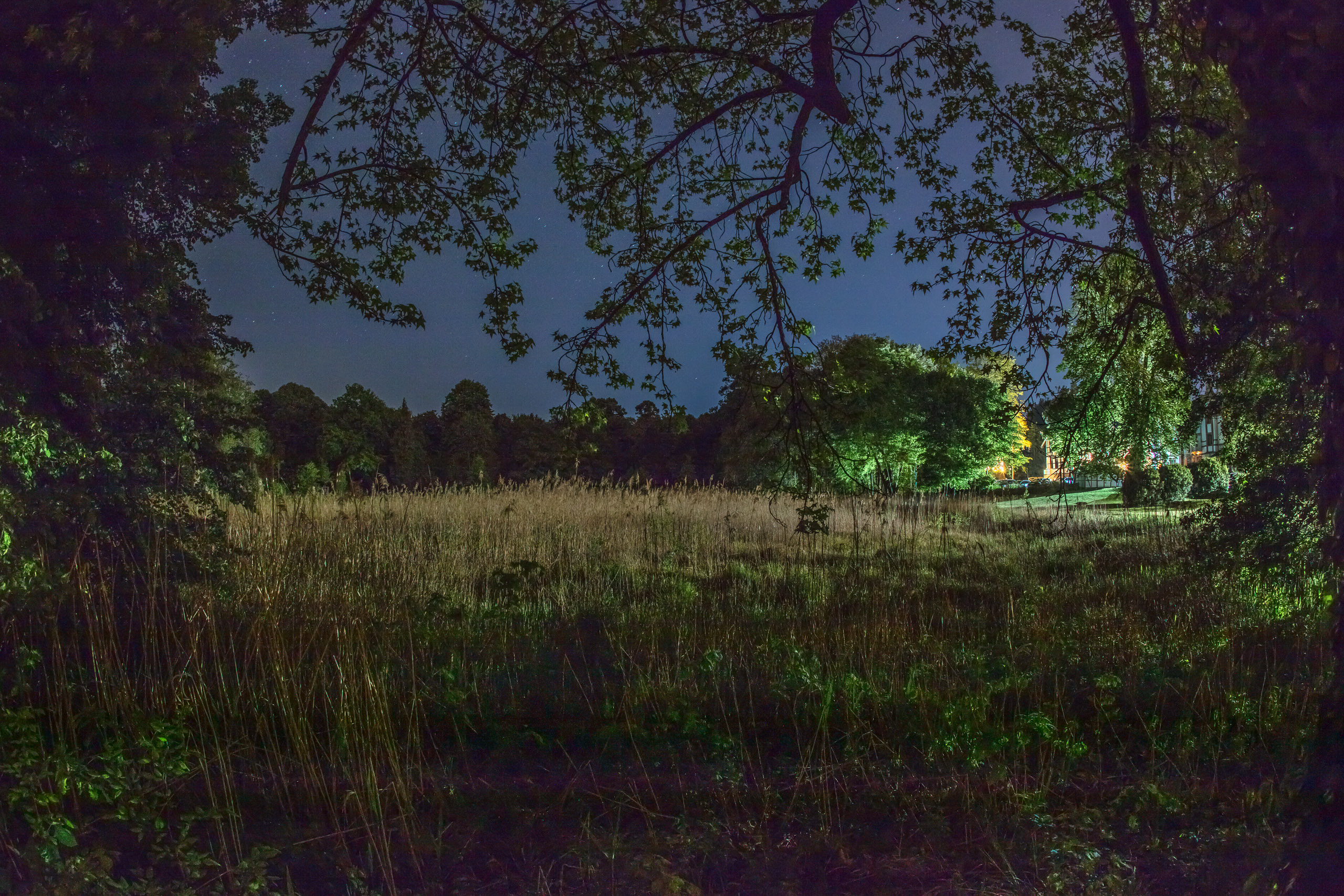 20220508001300 DP017500 2